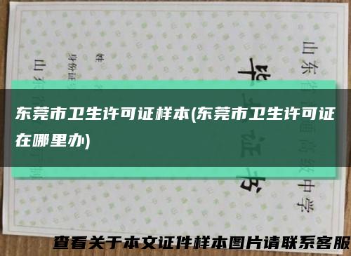 东莞市卫生许可证样本(东莞市卫生许可证在哪里办)缩略图