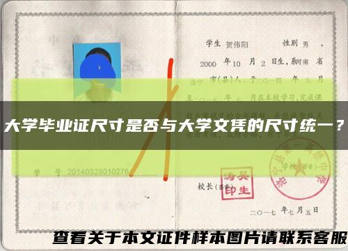 大学毕业证尺寸是否与大学文凭的尺寸统一？缩略图