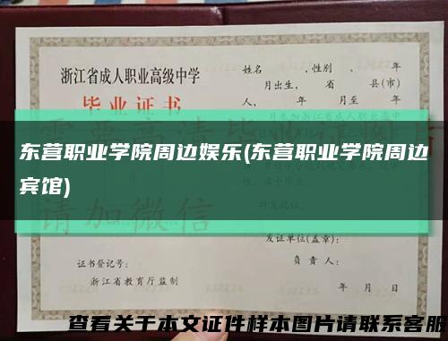 东营职业学院周边娱乐(东营职业学院周边宾馆)缩略图