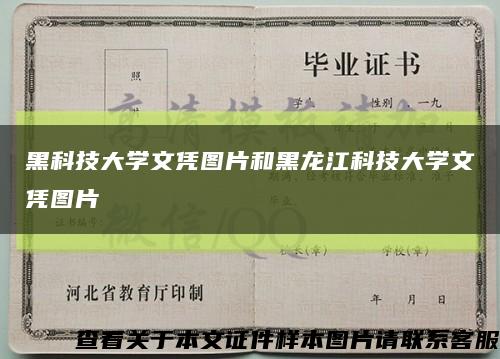 黑科技大学文凭图片和黑龙江科技大学文凭图片缩略图