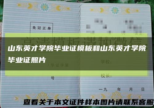 山东英才学院毕业证模板和山东英才学院毕业证照片缩略图