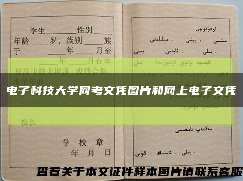 电子科技大学网考文凭图片和网上电子文凭缩略图