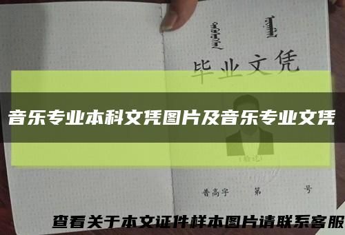 音乐专业本科文凭图片及音乐专业文凭缩略图