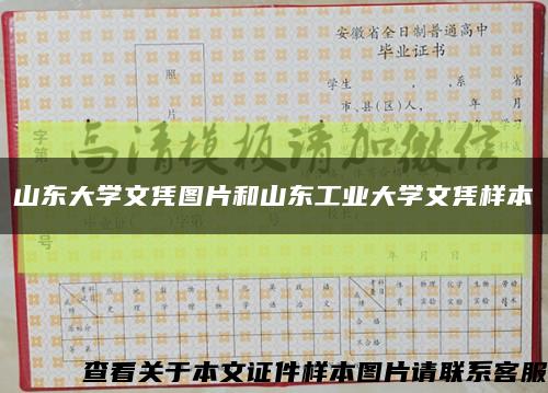 山东大学文凭图片和山东工业大学文凭样本缩略图