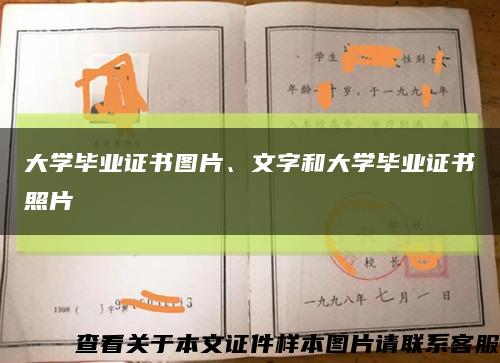 大学毕业证书图片、文字和大学毕业证书照片缩略图