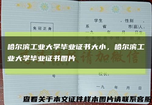 哈尔滨工业大学毕业证书大小，哈尔滨工业大学毕业证书图片缩略图