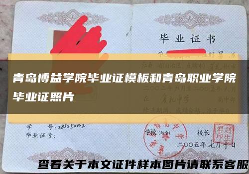 青岛博益学院毕业证模板和青岛职业学院毕业证照片缩略图