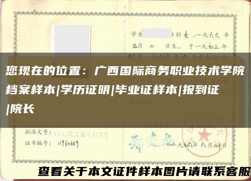 您现在的位置：广西国际商务职业技术学院档案样本|学历证明|毕业证样本|报到证|院长缩略图