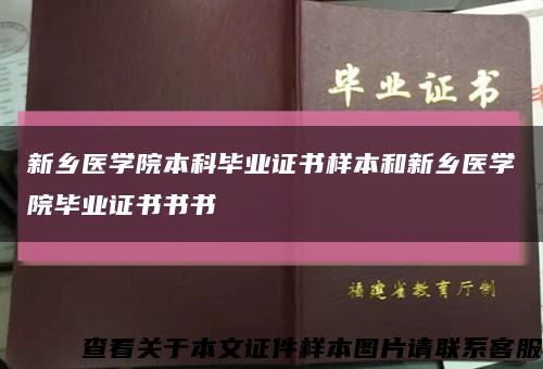 新乡医学院本科毕业证书样本和新乡医学院毕业证书书书缩略图