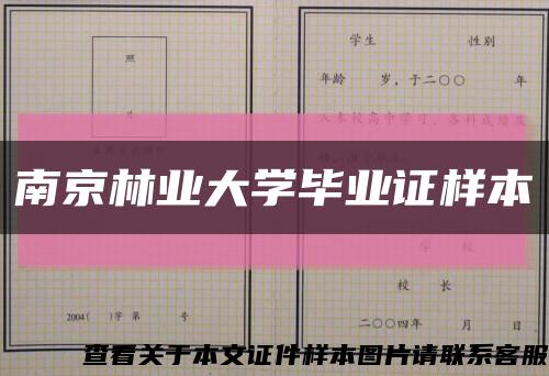 南京林业大学毕业证样本缩略图