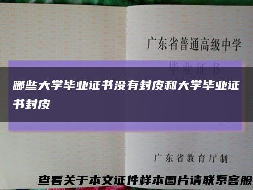 哪些大学毕业证书没有封皮和大学毕业证书封皮缩略图