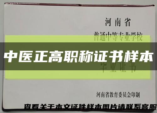 中医正高职称证书样本缩略图