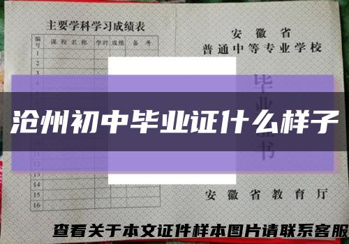 沧州初中毕业证什么样子缩略图