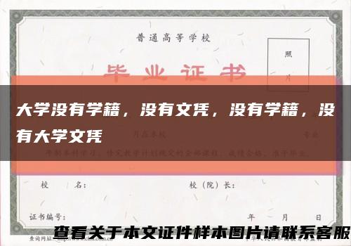 大学没有学籍，没有文凭，没有学籍，没有大学文凭缩略图