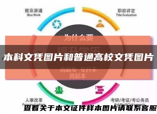 本科文凭图片和普通高校文凭图片缩略图