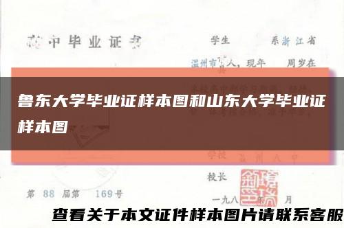 鲁东大学毕业证样本图和山东大学毕业证样本图缩略图