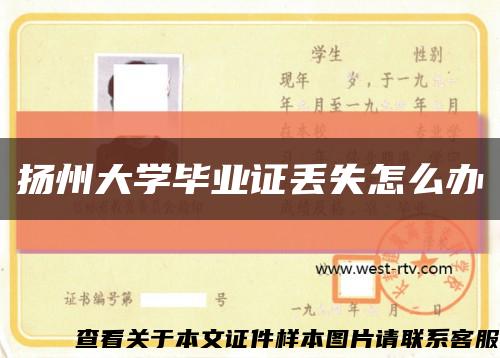 扬州大学毕业证丢失怎么办缩略图