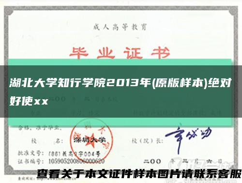 湖北大学知行学院2013年(原版样本)绝对好使xx缩略图