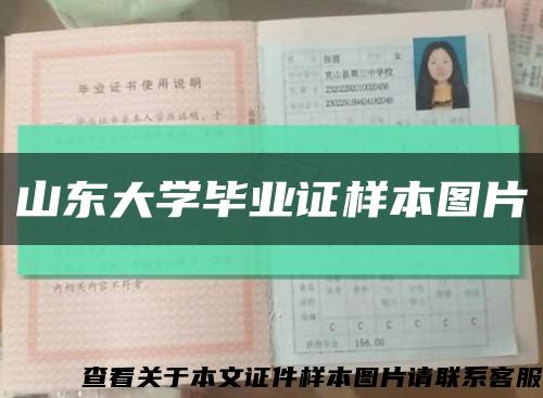 山东大学毕业证样本图片缩略图