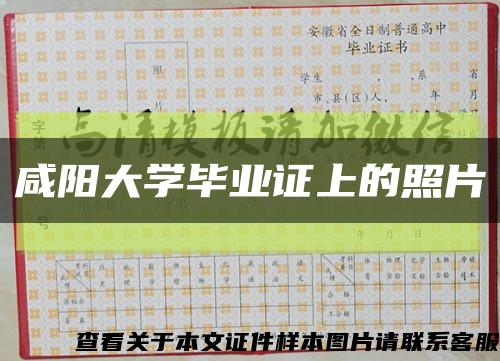 咸阳大学毕业证上的照片缩略图