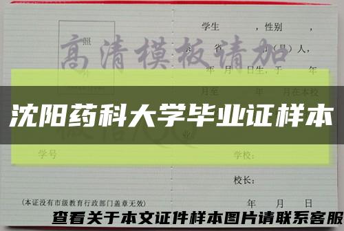 沈阳药科大学毕业证样本缩略图