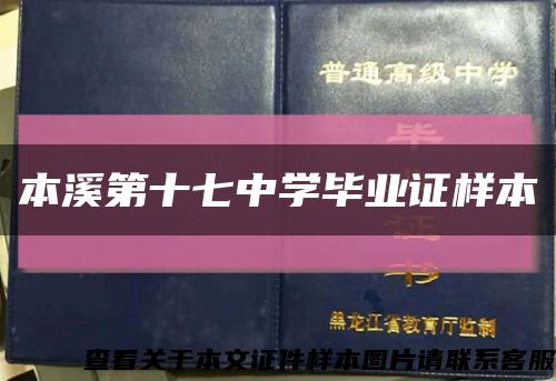 本溪第十七中学毕业证样本缩略图