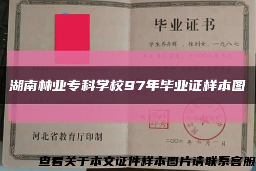 湖南林业专科学校97年毕业证样本图缩略图