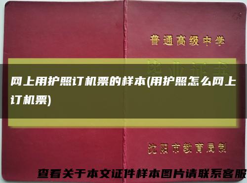 网上用护照订机票的样本(用护照怎么网上订机票)缩略图