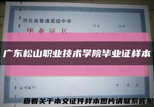 广东松山职业技术学院毕业证样本缩略图