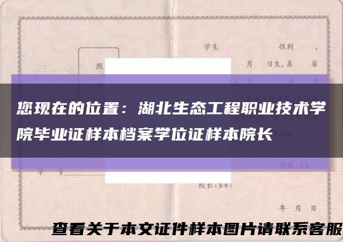 您现在的位置：湖北生态工程职业技术学院毕业证样本档案学位证样本院长缩略图