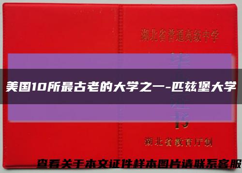 美国10所最古老的大学之一-匹兹堡大学缩略图