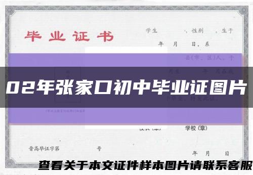 02年张家口初中毕业证图片缩略图