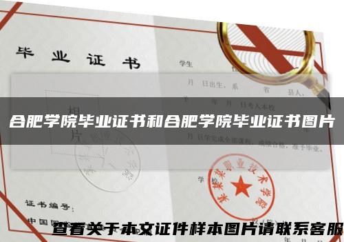 合肥学院毕业证书和合肥学院毕业证书图片缩略图