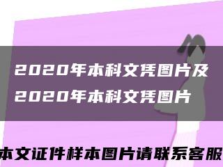 2020年本科文凭图片及2020年本科文凭图片缩略图