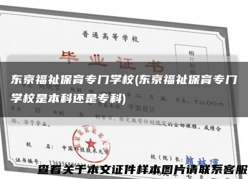 东京福祉保育专门学校(东京福祉保育专门学校是本科还是专科)缩略图