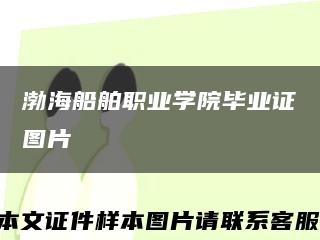 渤海船舶职业学院毕业证图片缩略图