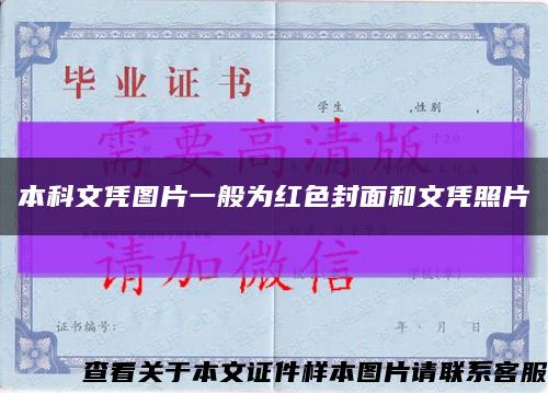 本科文凭图片一般为红色封面和文凭照片缩略图