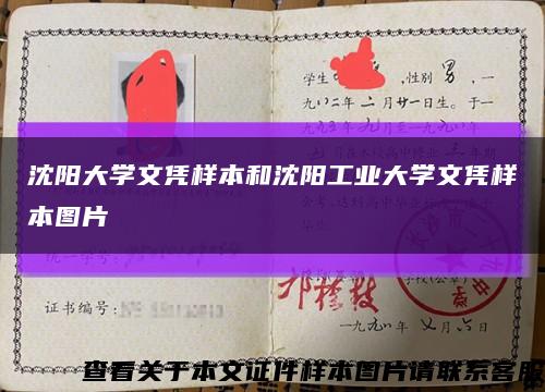 沈阳大学文凭样本和沈阳工业大学文凭样本图片缩略图