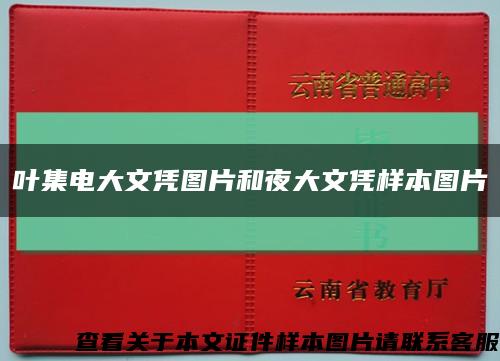 叶集电大文凭图片和夜大文凭样本图片缩略图