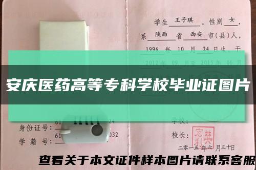 安庆医药高等专科学校毕业证图片缩略图