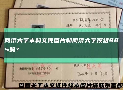 同济大学本科文凭图片和同济大学顶级985吗？缩略图