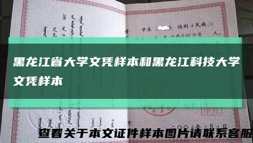 黑龙江省大学文凭样本和黑龙江科技大学文凭样本缩略图