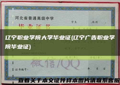 辽宁职业学院大学毕业证(辽宁广告职业学院毕业证)缩略图