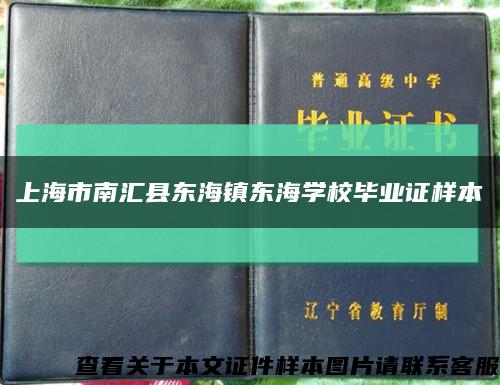 上海市南汇县东海镇东海学校毕业证样本缩略图