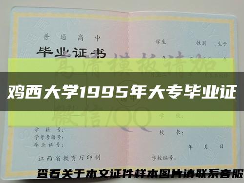 鸡西大学1995年大专毕业证缩略图