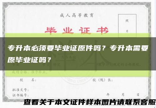 专升本必须要毕业证原件吗？专升本需要原毕业证吗？缩略图