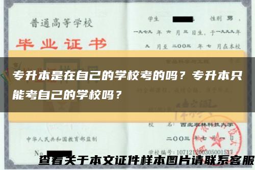 专升本是在自己的学校考的吗？专升本只能考自己的学校吗？缩略图