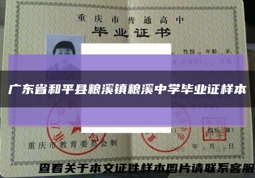 广东省和平县粮溪镇粮溪中学毕业证样本缩略图