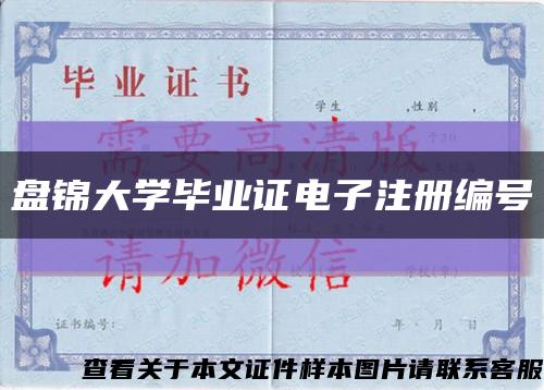 盘锦大学毕业证电子注册编号缩略图