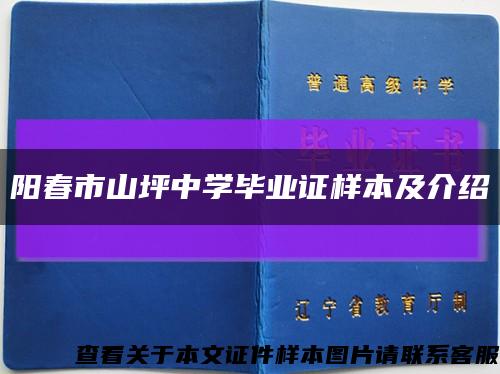 阳春市山坪中学毕业证样本及介绍缩略图